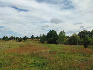 Ağaçlı yeşil alan Mavi bulutlu gökyüzüne karşı