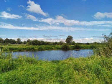 Güneşli bir günde mavi bulutlu gökyüzünün arka planında yeşil nehir kıyısı