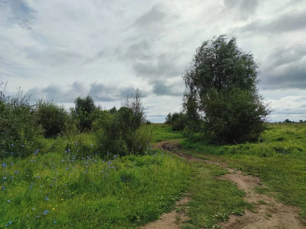 Sinuoso Camino Campo Verde Con Árboles Fondo Cielo Nublado Tiempo —  Fotos de Stock