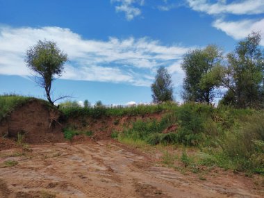 Masmavi gökyüzünün arka planında ağaçlar güneşli bir günde güzel bulutlar