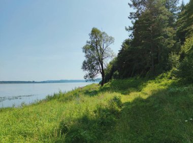 Güneşli bir günde mavi gökyüzüne karşı yeşil çimenler ve ağaçlarla kaplı kıyı manzarası