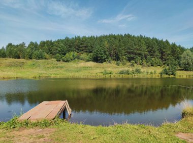 # Gölün yeşil kıyısındaki güneşli manzara # # Ormanın arka planına ve mavi gökyüzüne karşı #