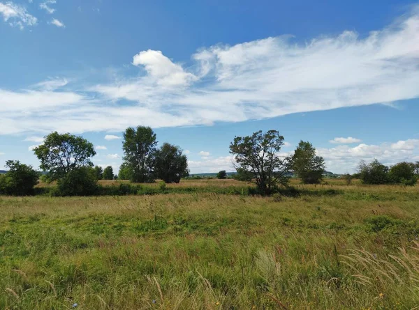 Campo Verde Con Árboles Contra Cielo Azul Con Hermosas Nubes —  Fotos de Stock