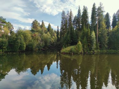 Güneşli bir akşamda gölün kenarındaki ağaçların sularında yansıyor.
