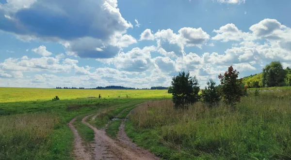 Güneşli bir günde mavi bulutlu bir gökyüzüne karşı yeşil bir tarlada panoramik bir manzara.