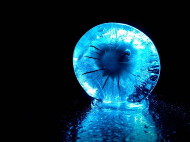 Yaratıcı fotoğrafçılıkta donmuş çiçekle buzlu soyutlama