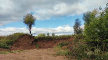 Arka planda harika bulutları olan güzel mavi gökyüzünün ağaçları.