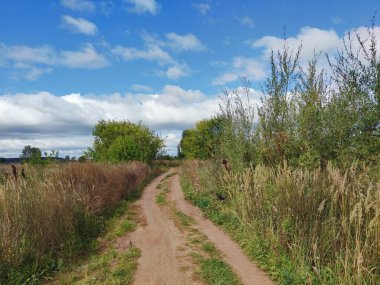 Yeşil çimlerin ve ağaçların arasında, mavi gökyüzünün arka planında, bulutlu bir kır yolunda.