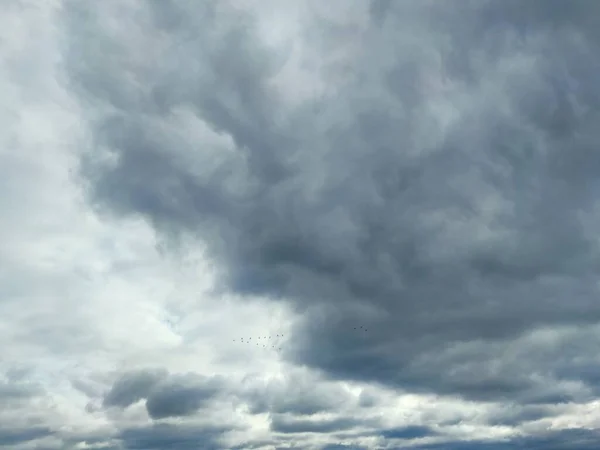 Burzliwe Zachmurzone Niebo Ptaki Lecące Oddali — Zdjęcie stockowe