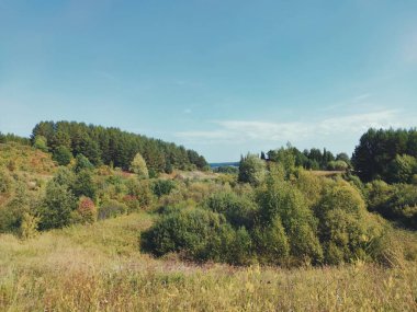 Yeşil çalılar ve ağaçlarla kaplı ovalar güneşli bir günde mavi gökyüzüne karşı.