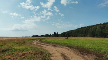 Güneşli bir günde, ormanın arka planına ve mavi gökyüzüne doğru dönen yolda