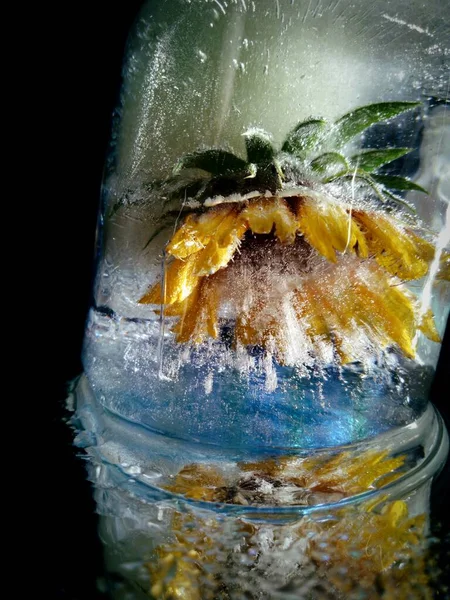 Yaratıcı Makro Fotoğrafçılıkta Buzdaki Sarı Çiçek — Stok fotoğraf