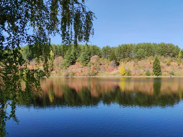 Skogssjöns Strand Speglas Vatten Ett Soligt Höstlandskap — Stockfoto