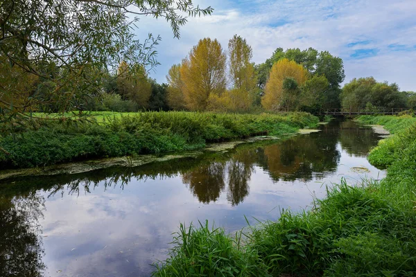 Wincheap Su Çayırları ve Büyük Stour Nehri, Canterbury, Kent.