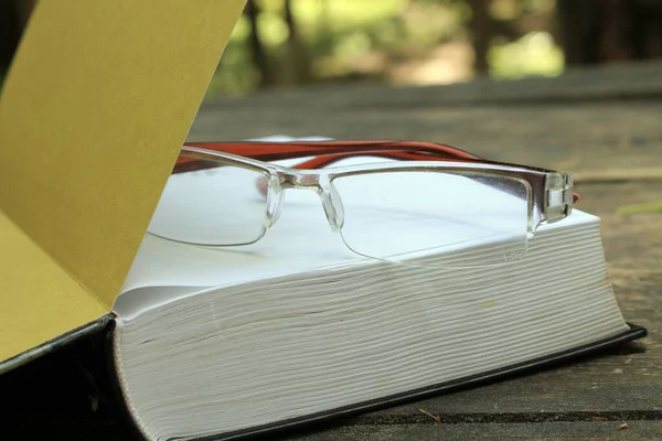 Bardaklar, ormandaki ahşap bir masada açık bir kitabın üzerinde duruyor..