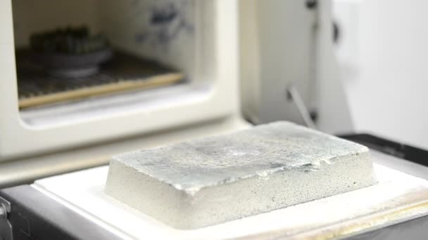 Das auf dem 3D-Drucker erzeugte Objekt wird zur Wärmebehandlung aus dem Ofen geholt. — Stockvideo