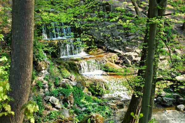 Waterval in het park — Stockfoto