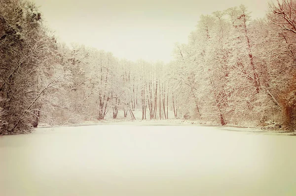 Lac couvert de neige et d'arbres qui poussent autour — Photo