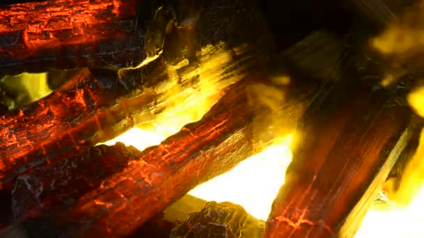 Chimeneas eléctricas con evaporador incorporado convierte el agua en vapor — Vídeo de stock