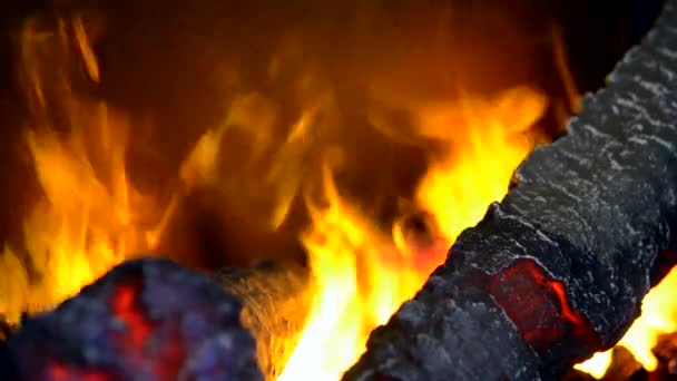 Chimeneas eléctricas con evaporador incorporado convierte el agua en vapor — Vídeos de Stock