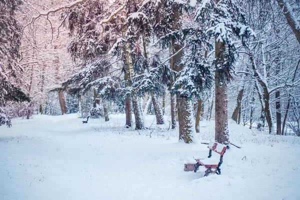 Fantástico cuento de hadas mágico paisaje vista árbol de Navidad — Foto de Stock