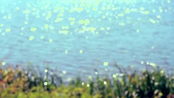 Розмитий фон блакитна вода зелена трава відблиски — стокове відео