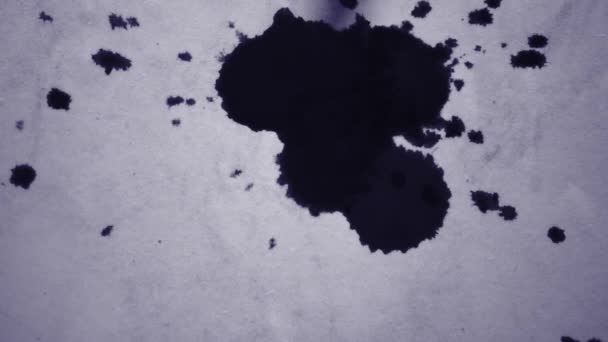 Manchas abstractas de tinta negra fluyen sobre una superficie blanca . — Vídeo de stock