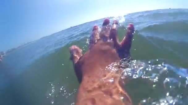 Handen glider diabilder på ytan av vattnet på en solig dag — Stockvideo