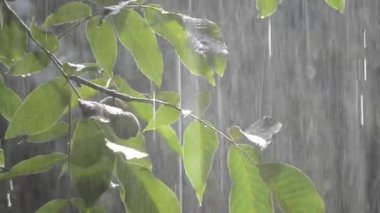 Gündüzleri ağır yağmur duş sağanak sağanak yağış geliyor.