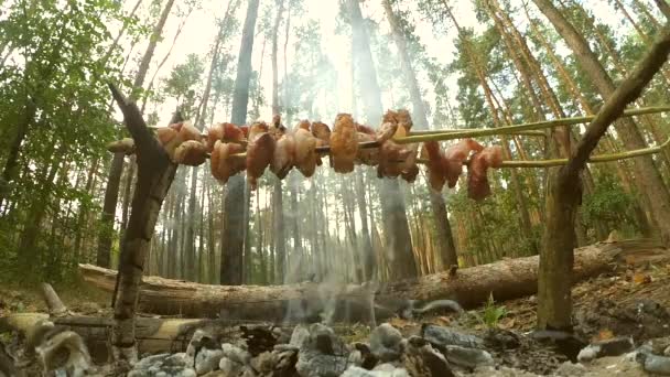 Grilované špízy z vepřové sádlo slanina v lese zespodu — Stock video