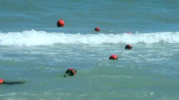 Des bouées rouges flottent sur les vagues dans la mer — Video