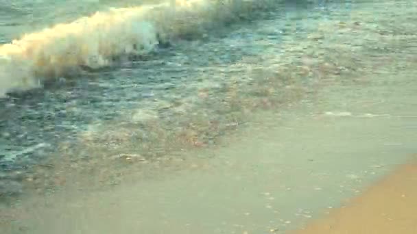 Морські хвилі берег моря — стокове відео