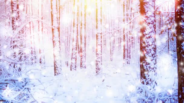 Szép havas fák fenyő az erdőben, télen a hó alatt. Nap, napos, nap sugarai, napos helyet. Fantasztikus mese varázslatos táj. Karácsonyi téli újév táj háttér