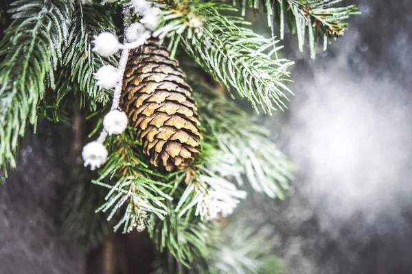 Natürliche Weihnachten Neujahr Spielzeug Tannenzapfen und Weihnachtsbaum Zweig Nahaufnahme — Stockfoto