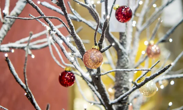 Winter boom zonder bladeren bedekt met sneeuw versierd met kleine decoratieve — Stockfoto