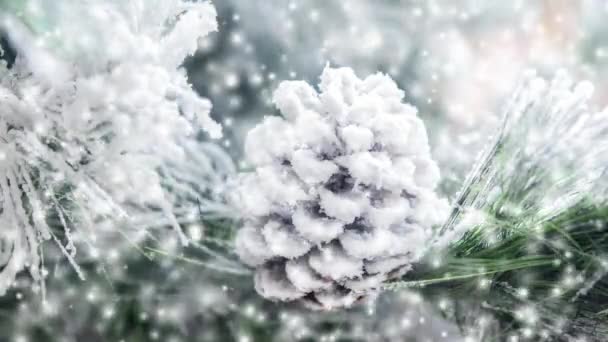 自然クリスマス正月グッズ松かさとクリスマス ツリーの分岐 — ストック動画