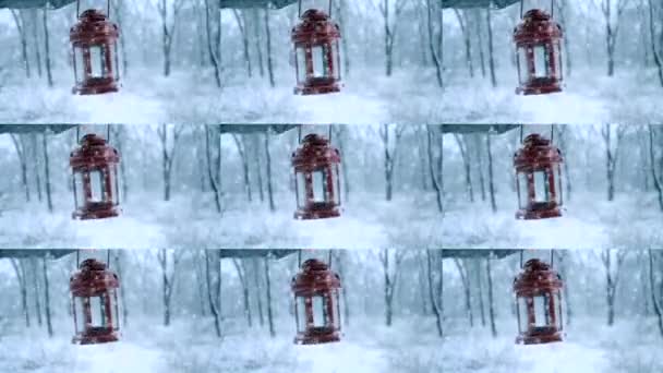 Hombre sosteniendo linterna de vela roja en el bosque de invierno. Nieve nevada bosque. — Vídeos de Stock