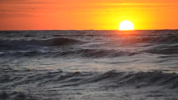 Water en golven zee landschap landschap land scène achtergrond — Stockvideo