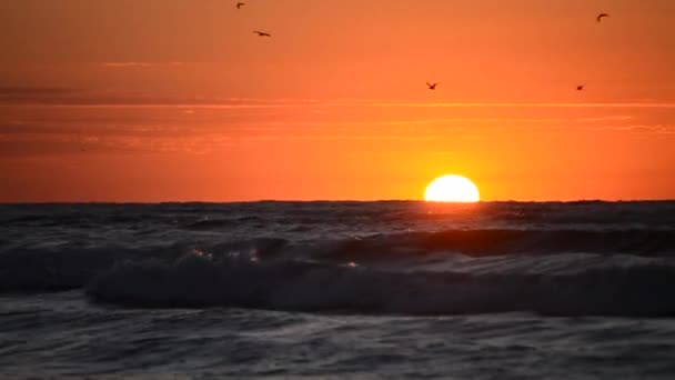 Water en golven zee landschap landschap land scène achtergrond — Stockvideo