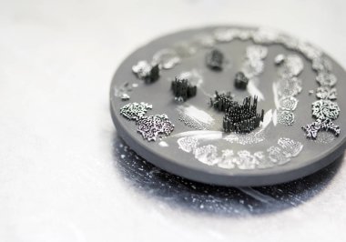 Metal için 3D yazıcıda diş kaplaması oluşturulduktan sonra disk