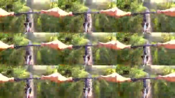 抽象动画墙。骑车人骑自行车骑绿色森林 — 图库视频影像