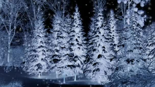 Forest trees in the snow at night in winter. — Stock Video