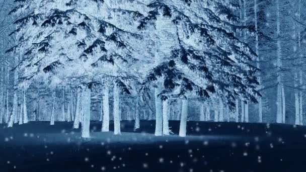 Erdei fák a hóban, télen éjszaka. — Stock videók