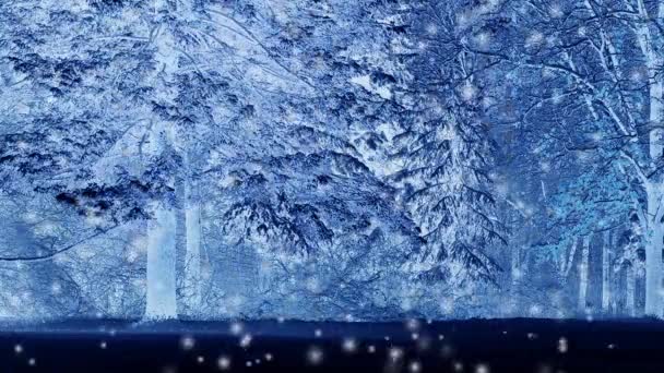 Лесные деревья в снегу ночью зимой . — стоковое видео