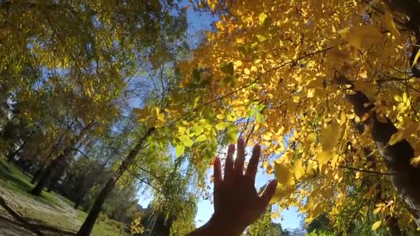 Повільний рух ПОВ руки людини, яка рухає її в повітрі, через пальці — стокове відео