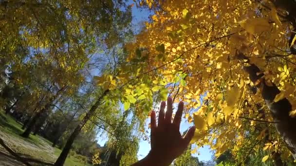 Punto de vista en cámara lenta de la mano del hombre que lo mueve en el aire, a través de los dedos — Vídeo de stock