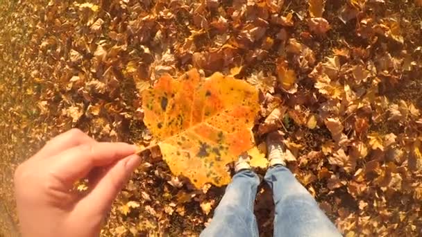 慢动作波夫的女孩谁是站, 并考虑一片杨树的叶子 — 图库视频影像