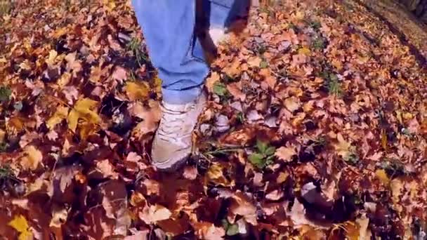 Pov Câmera Lenta Homem Que Anda Chão Com Folhas Amarelas — Vídeo de Stock