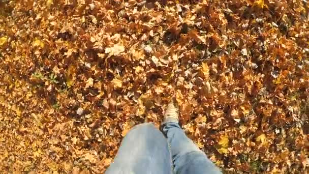 Hombre que camina sobre el suelo caído amarillo y marchitas hojas en el soleado día de otoño — Vídeo de stock