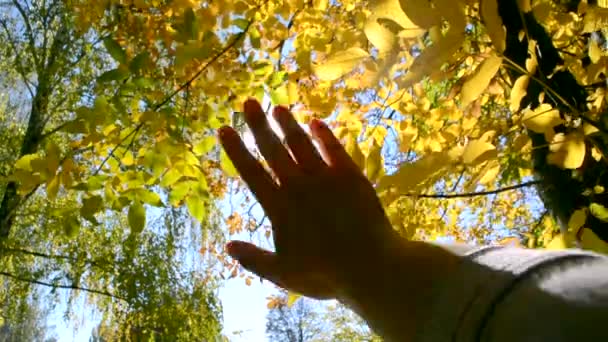 Повільний рух ПОВ руки людини, яка рухає її в повітрі, через пальці — стокове відео